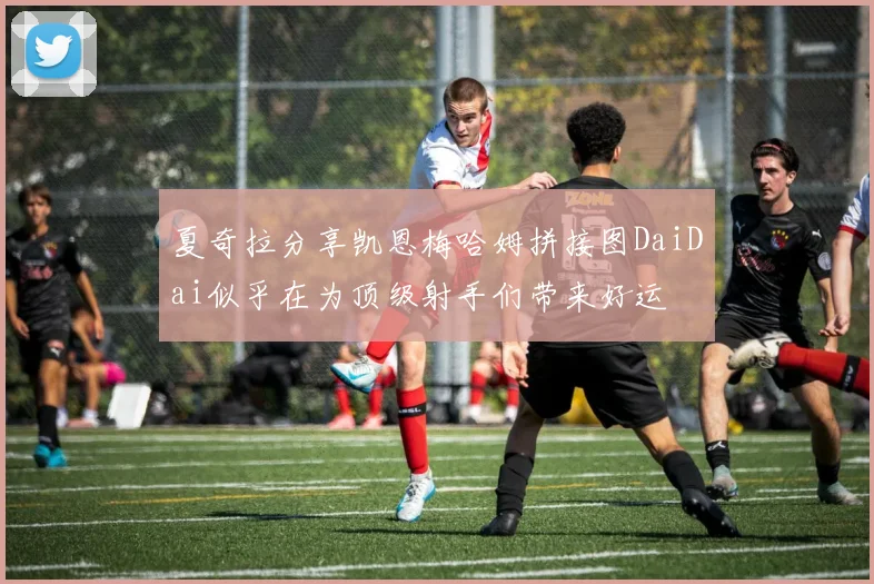 夏奇拉分享凯恩梅哈姆拼接图DaiDai似乎在为顶级射手们带来好运