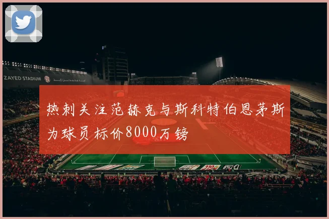 热刺关注范赫克与斯科特伯恩茅斯为球员标价8000万镑